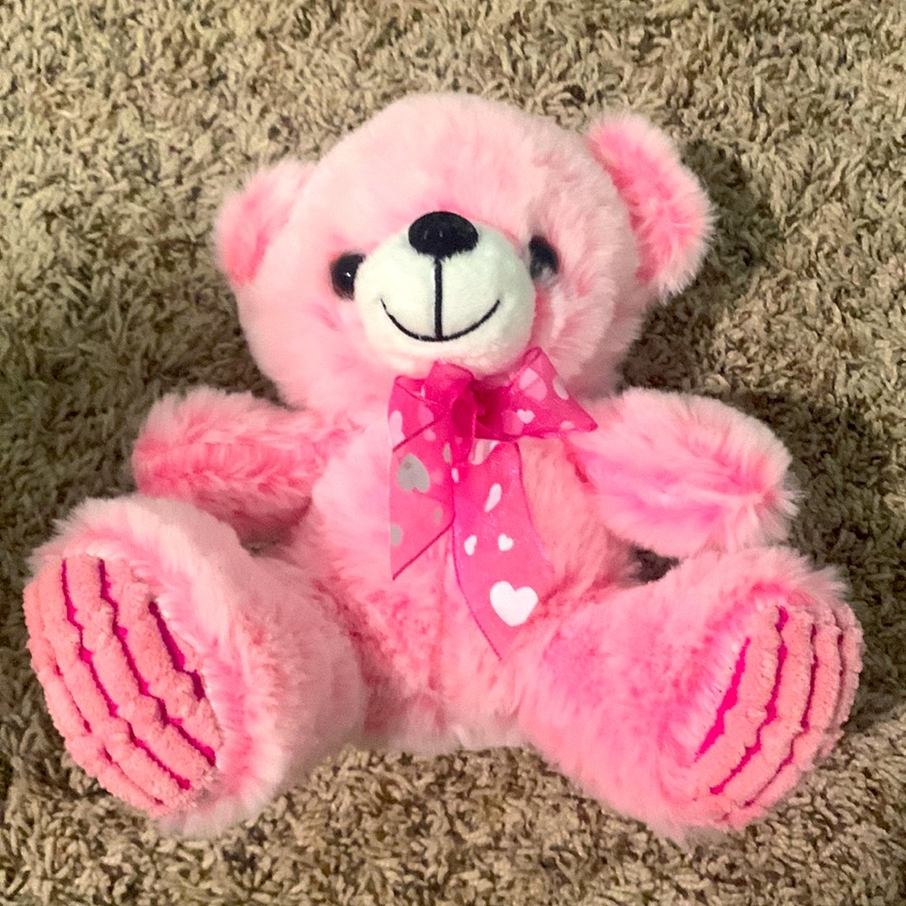Bubblegum Pink Valentine’s Day Bear
